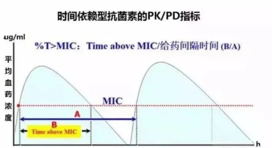 獸藥會(huì)使用無效的兩個(gè)主要原因-上海邦森