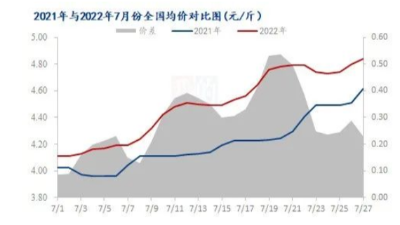 多重利好支撐，蛋市“蒸蒸日上”？-上海邦森