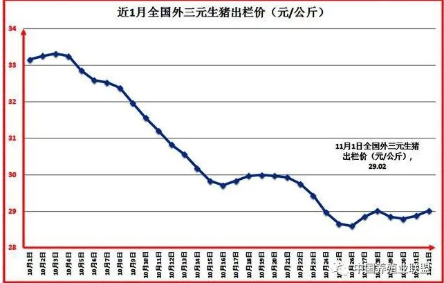 三元生豬價格